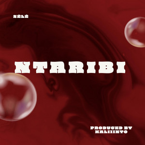 NTARIBI by SÉLÉ tunes