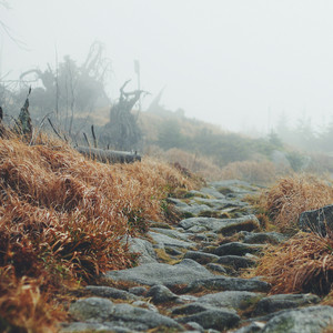 ragnarök by Folk Attak