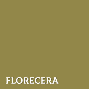 florecera by Demmopo vuild