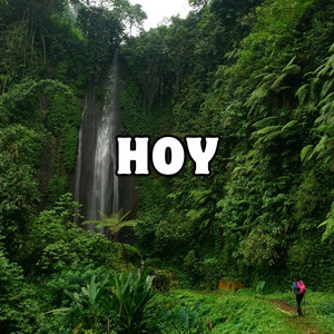 hoy by virginia la santa