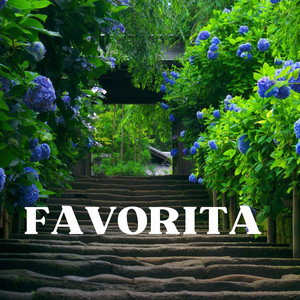 Favorita by B Chorus