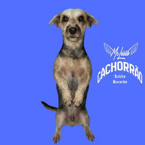 Mc Leléto - Cachorrão
