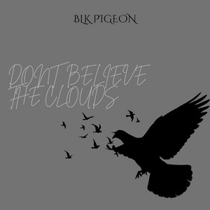 Don't Believe The Clouds by BLK Pigeon