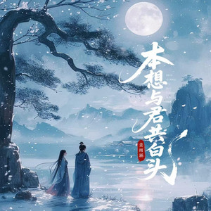 本想与君共白头 - DJ版 by 姜雨涵, 漠心藤