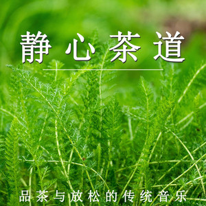 静心茶道 品茶与放松的传统音乐