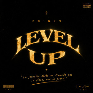 Level up by Obinks