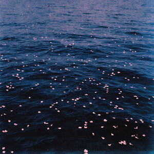 swim song by Wotts