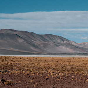 Sinal by Michael Vacca