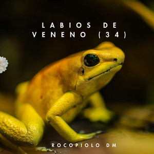 Labios de Veneno (34) by Rocopiolo Dm