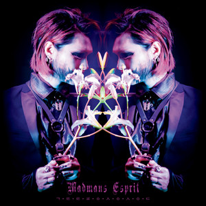 The World As Collective Reflections - Album by Madmans Esprit