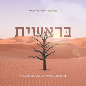 Bereshis - בראשית by Avrum Mordche Schwartz