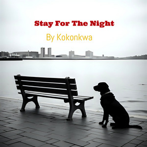 Stay for the Night by Kokonkwa
