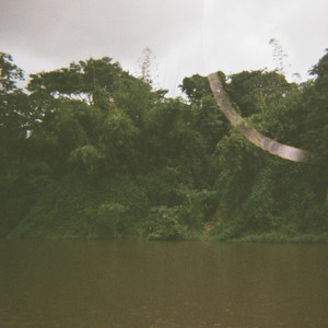 Raíz de río by Tina Mandarina