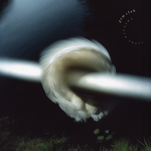 album cover: Emerald Press