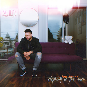 Never Change by M.I.D, Mighty