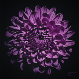 Bloom In The Dark by Drown Me.