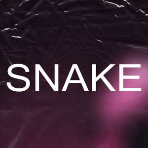 Snake by Maxi Beats