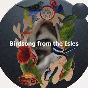 Birdsong from the Isles album