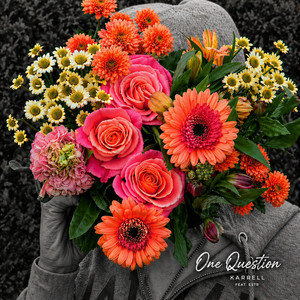 One Question by Karrell, Estr