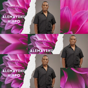 ONE2ONE pro - Alemayehu Hirpo | ተመቸሽ ወይ