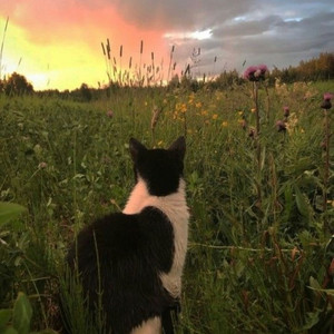 m3wk4 - iluvpostinginthenature<33