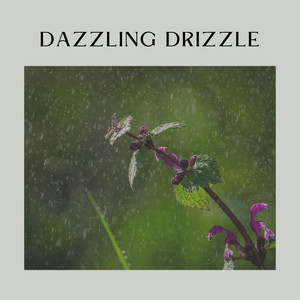 Dazzling Drizzle album