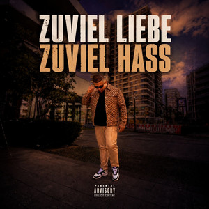 Zuviel Liebe Zuviel Hass by Edin