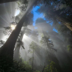 Wonders