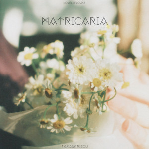 matricaria by 高嶺 理想
