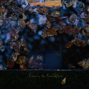 Autumn the Year Before by Forgot10