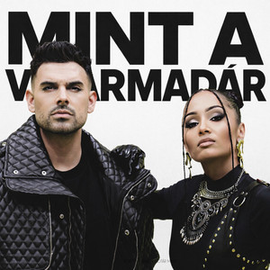 Horváth Tamás - Mint a viharmadár (feat. Nótár Mary)