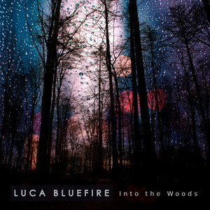 Into the Woods by Luca Bluefire