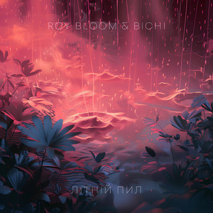 Обкладинка: Літній пил