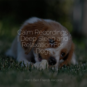 Calm Recordings | Deep Sleep and Relaxation For Dogs album