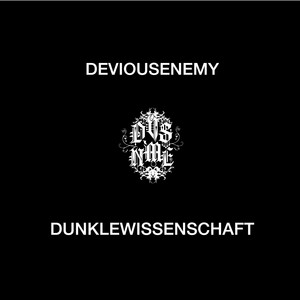 DVS NME cover