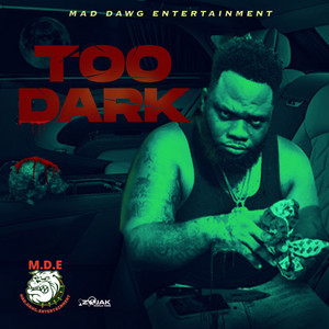 Too Dark by Chronic Law