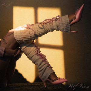 NOT FINE by ANNEL