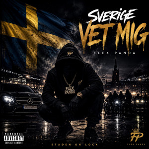 SVERIGE VET MIG by FLEX PANDA