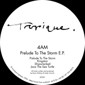 Jazz The Sea Turtle - Original Mix by 4AM, Muzique Tropique