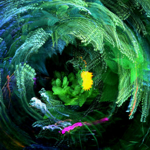 Vetiver by David Cordero