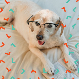 Vivacious Ambiance for Resting Doggies album