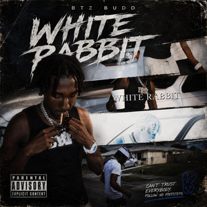 WHITE RABBIT by btz.budd