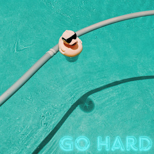 Go Hard by L. Grinham