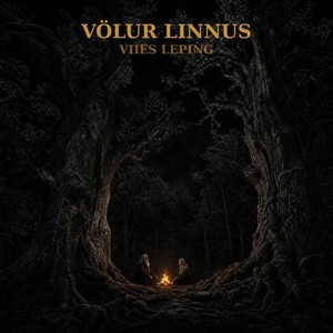 album cover: Viies Leping