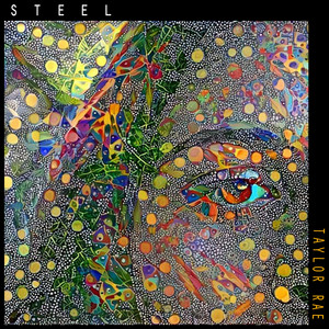 Steel by Taylor Rae