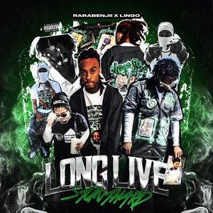 Long Live Stunthard by RaraBenjii, Lingo