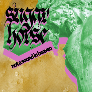 album cover: Not a Sound in Heaven