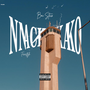 Nnachokako Freestyle by Boi Sticx