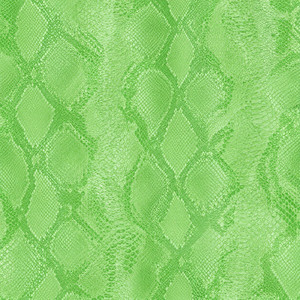 snakeskin by youhearevan, xtsy*