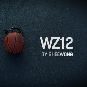 Sheewong Haiti - WZ12